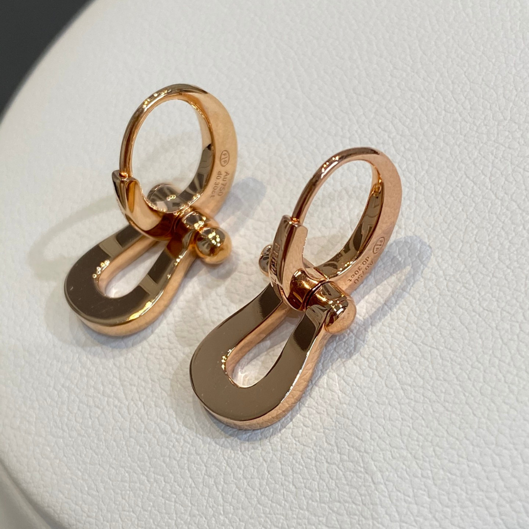 FORCE 10 EARRINGS