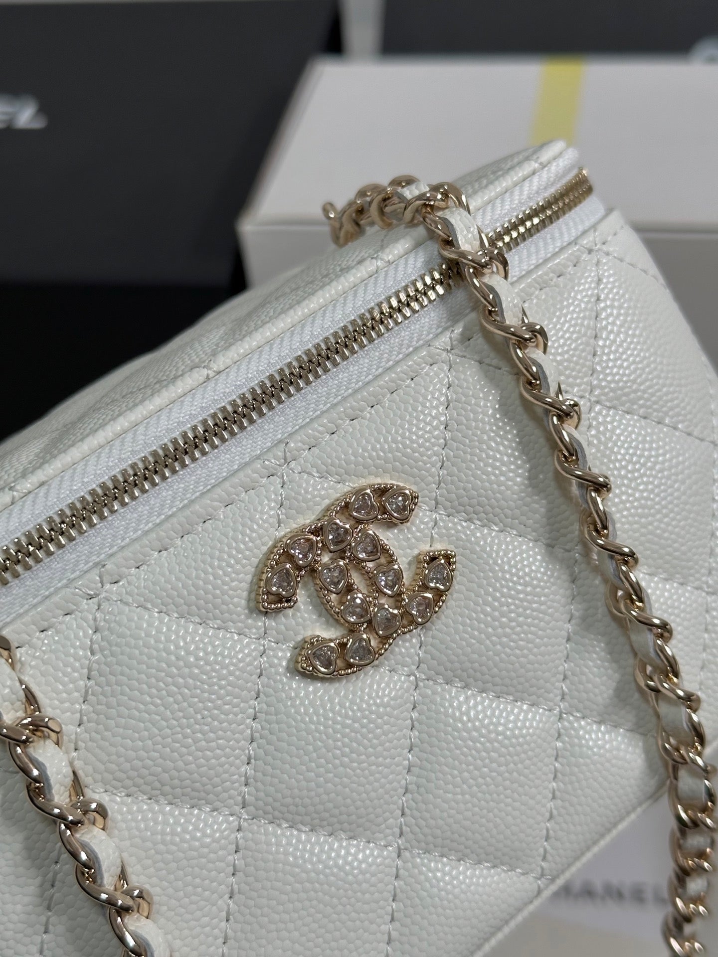 VANITY CASE 17 CRYSTAL STUDDED LOGO IN WHITE CALFSKIN GOLD HARDWARE